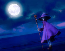 Cargar imagen en el visor de la galería, S.H. FIGUARTS SCHIERKE