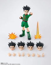 Cargar imagen en el visor de la galería, PREVENTA - S.H. FIGUARTS GON
